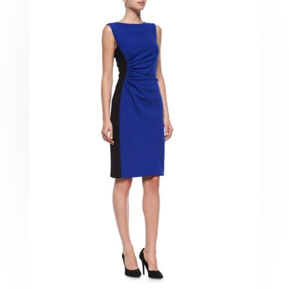 Diane von Furstenberg Laura Sleeveless Ruched Sheath Dress - Picture 4 of 12
